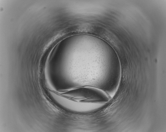 X0000089430722200706291313