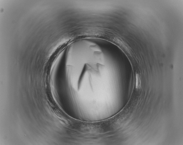 X0000089430723200706291313