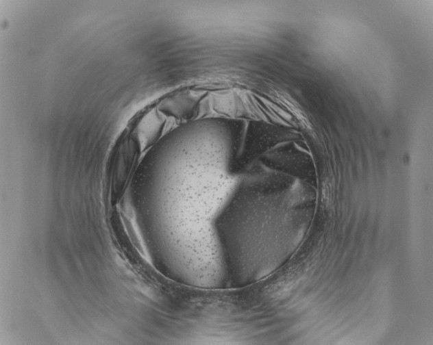 X0000089430724200706291313