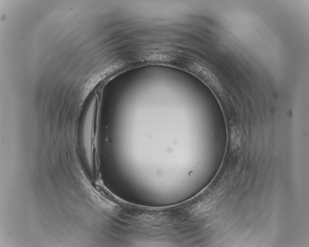 X0000089430725200706291313