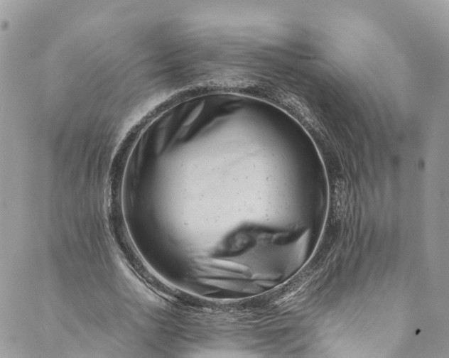 X0000089430726200706291313