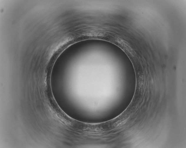 X0000089430727200706291313