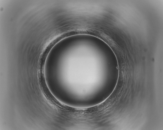 X0000089430728200706291313