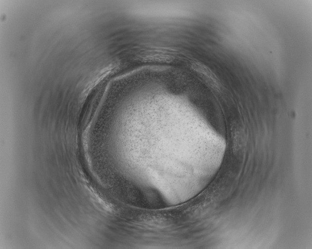 X0000089430729200706291313