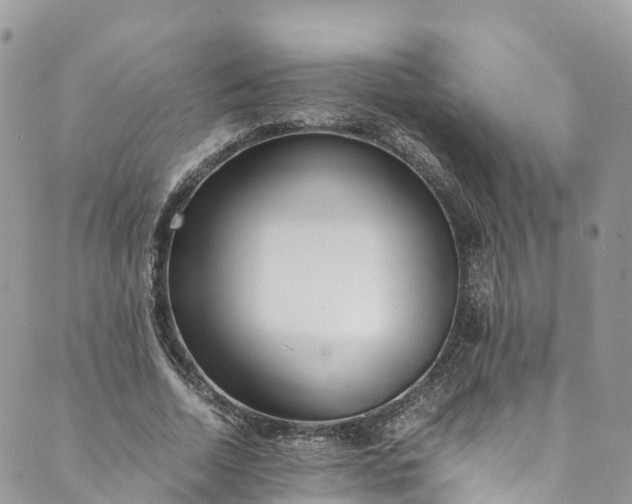 X0000089430730200706291313