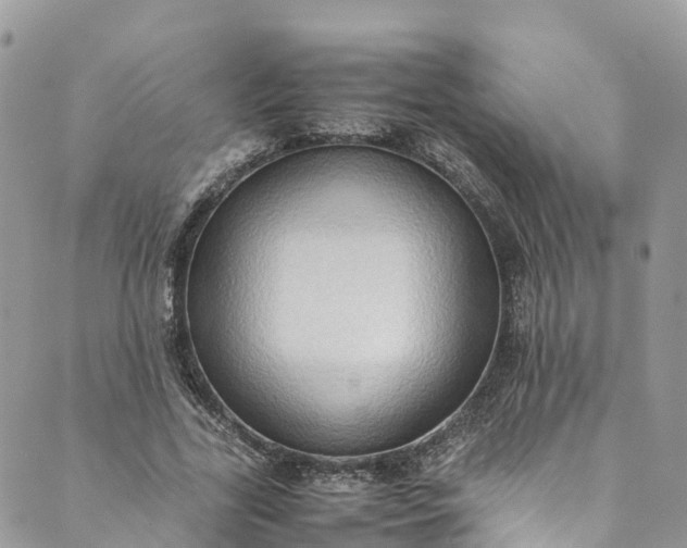 X0000089430731200706291313