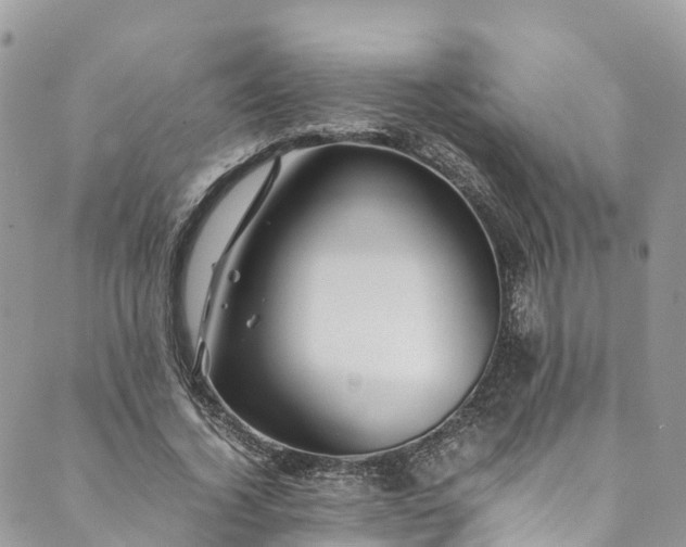 X0000089430732200706291313