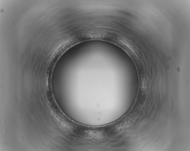 X0000089430733200706291313