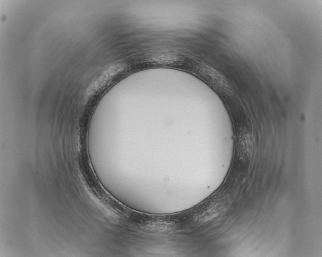 X0000089430734200706291313