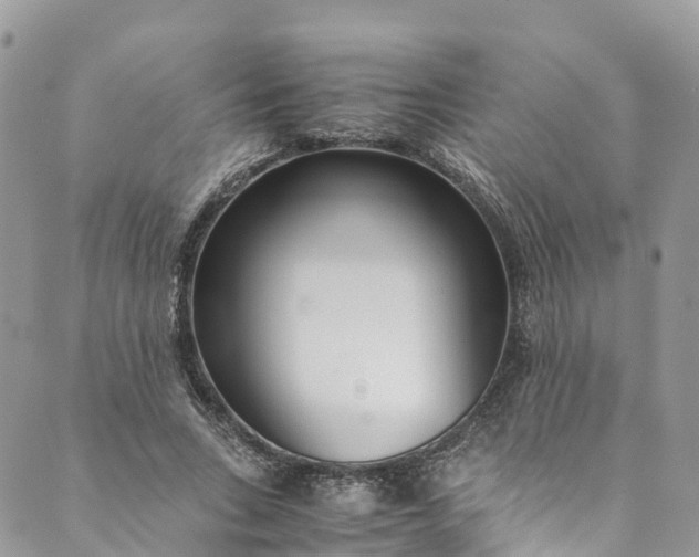 X0000089430735200706291313