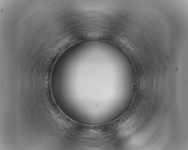 X0000089430737200706291313