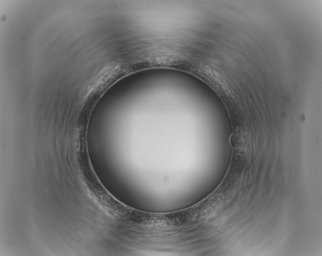 X0000089430738200706291313