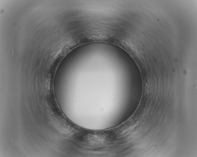 X0000089430739200706291313