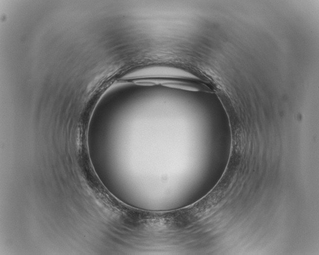 X0000089430740200706291313