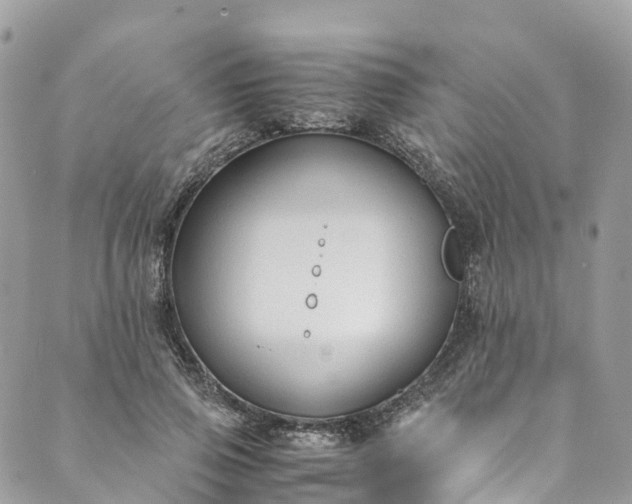 X0000089430741200706291314