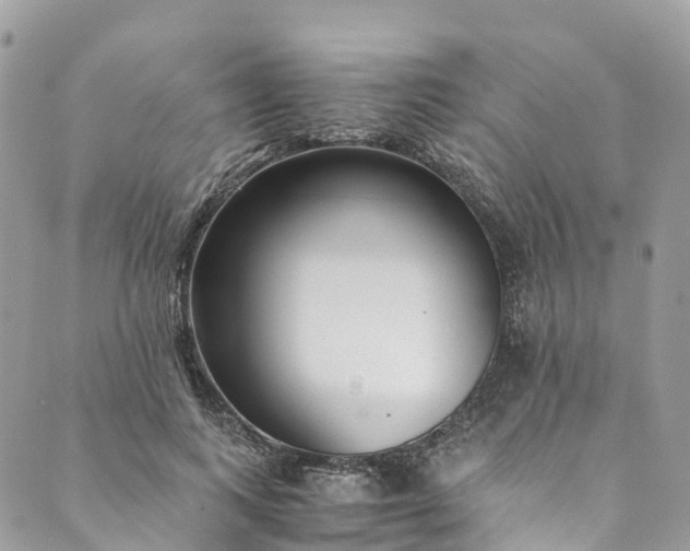 X0000089430743200706291314