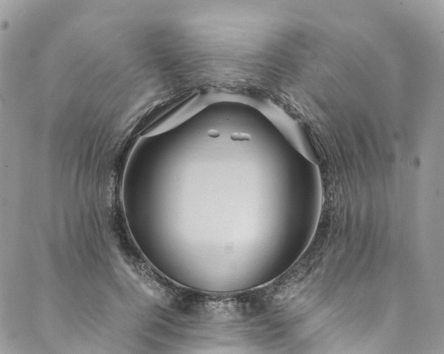 X0000089430744200706291314