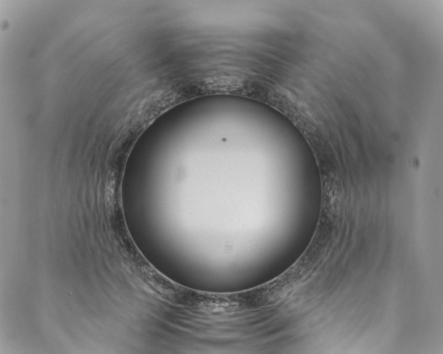 X0000089430745200706291314