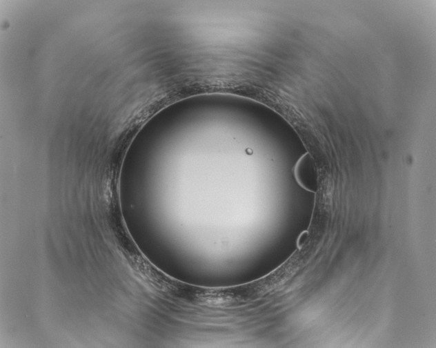 X0000089430746200706291314