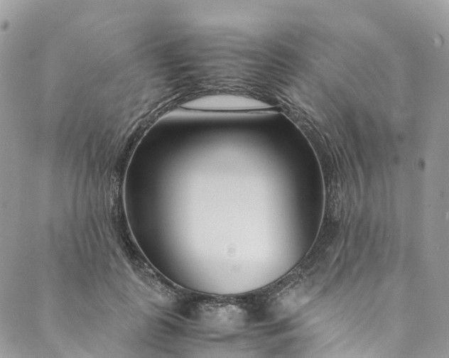 X0000089430747200706291314