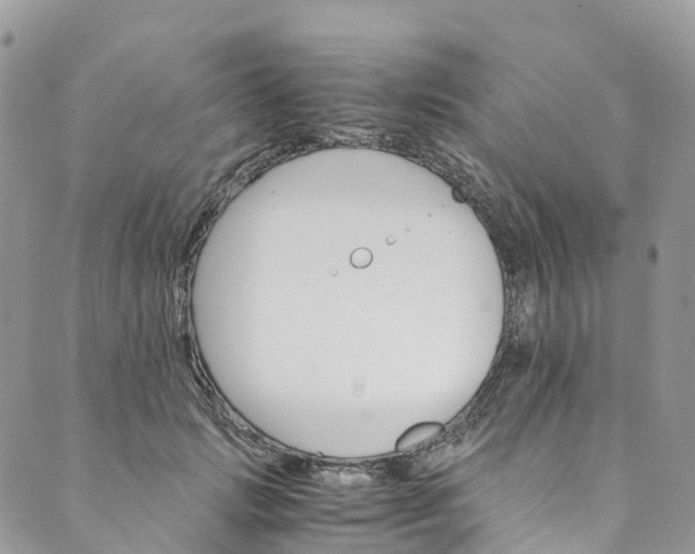 X0000089430749200706291314