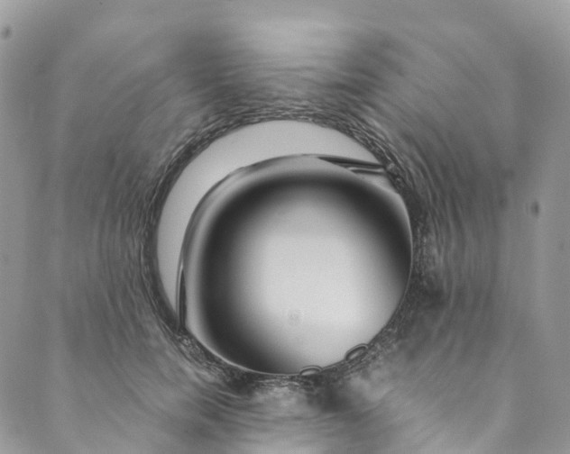 X0000089430750200706291314