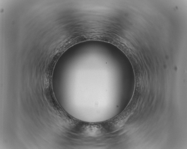 X0000089430751200706291314