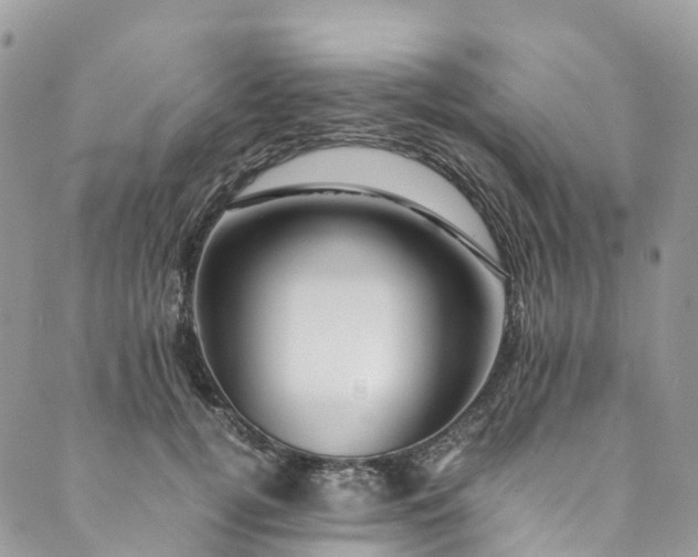 X0000089430752200706291314