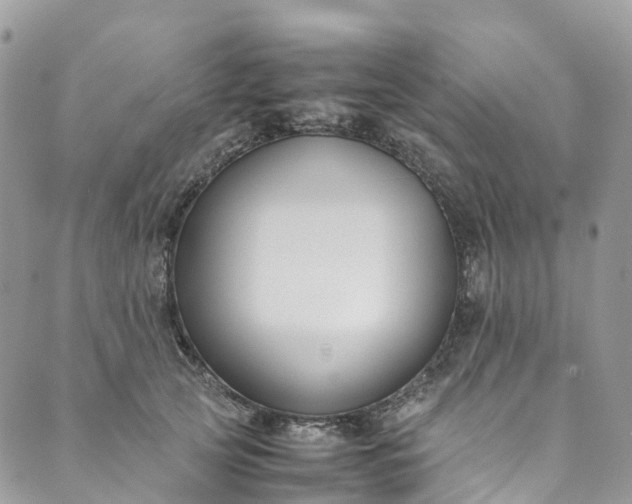 X0000089430753200706291314