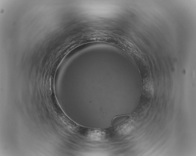 X0000089430754200706291314