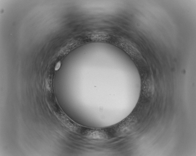 X0000089430755200706291314