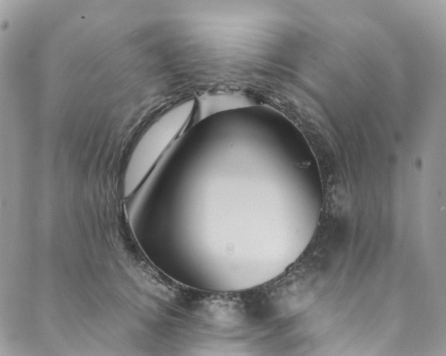 X0000089430756200706291314