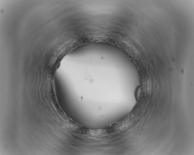 X0000089430757200706291314