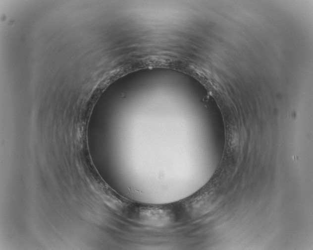 X0000089430759200706291314