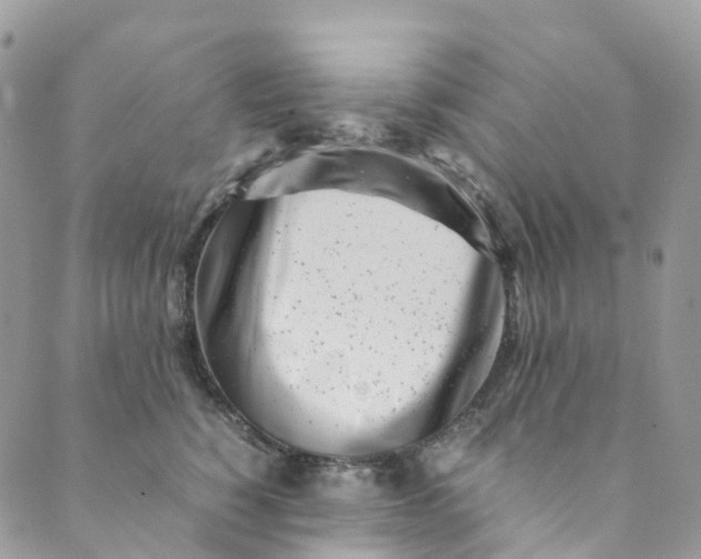 X0000089430760200706291314