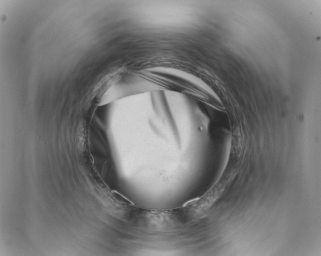 X0000089430762200706291314