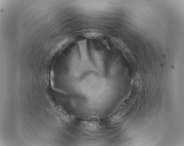 X0000089430763200706291314