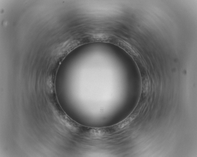 X0000089430764200706291314