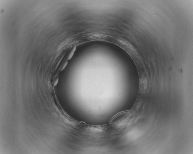 X0000089430765200706291314