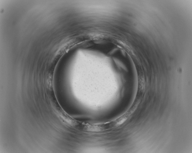 X0000089430766200706291314