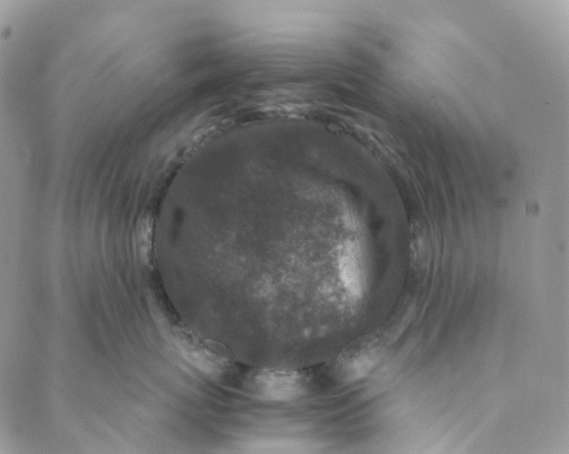 X0000089430767200706291314