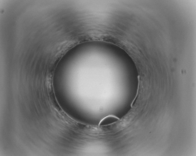 X0000089430768200706291314