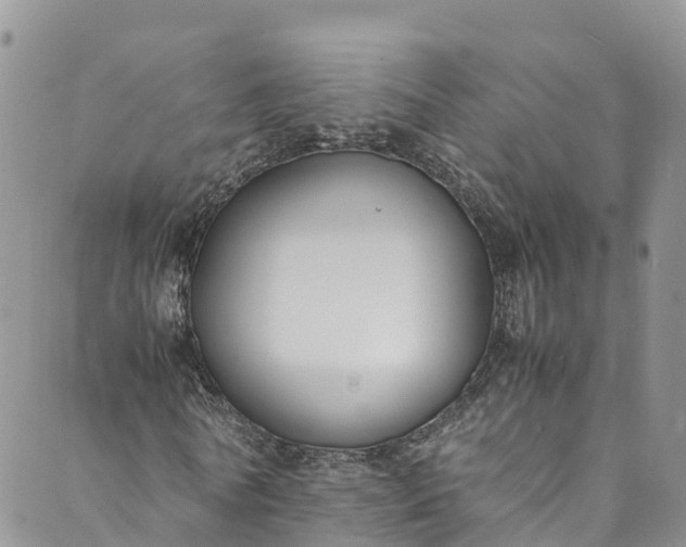 X0000089430770200706291313