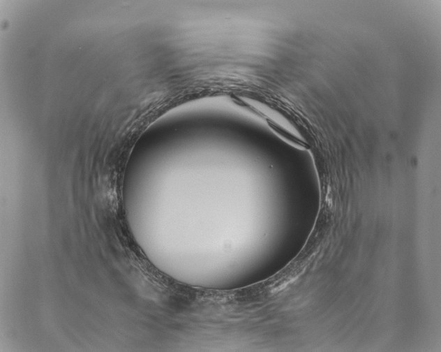 X0000089430771200706291313