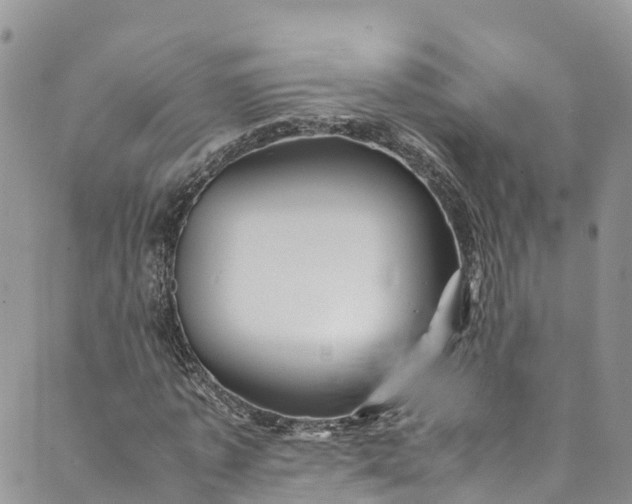 X0000089430773200706291313