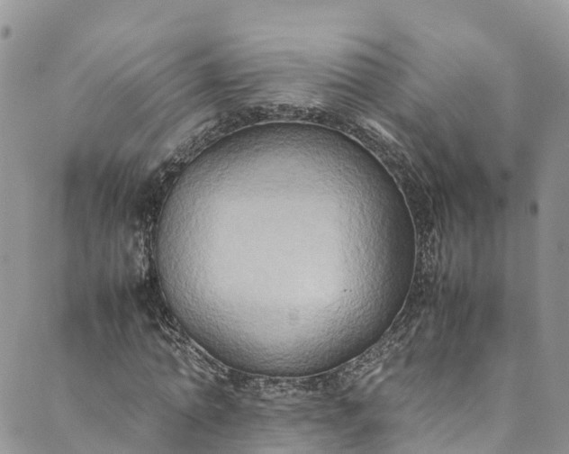 X0000089430774200706291313