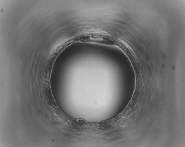 X0000089430775200706291313