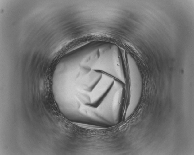 X0000089430776200706291313