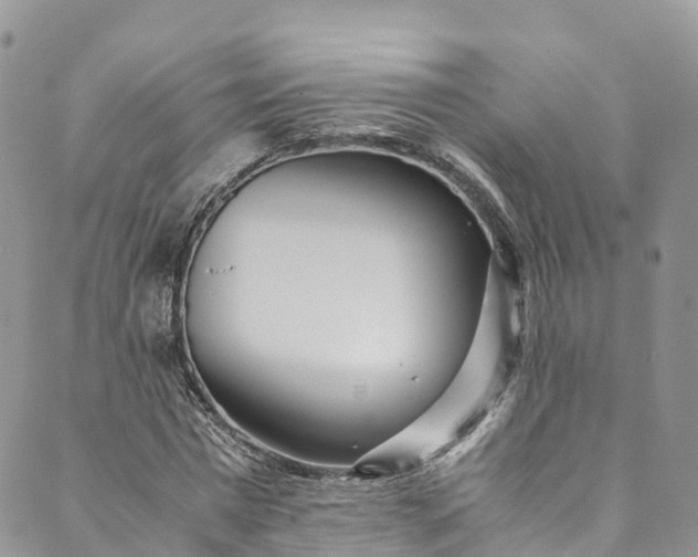 X0000089430777200706291313