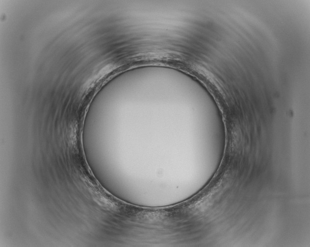 X0000089430778200706291313